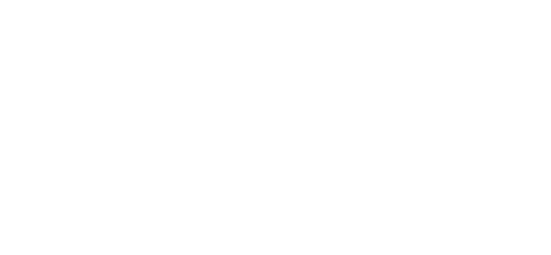 The Toy Association