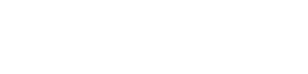 Toy World